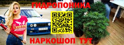 кокс Лесосибирск
