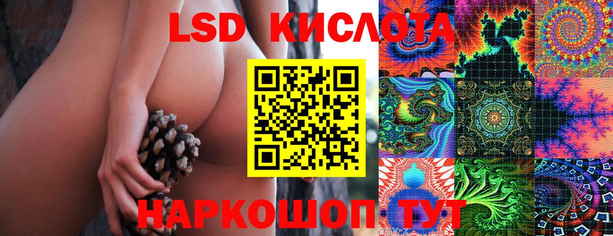 МЕФ Тельмана